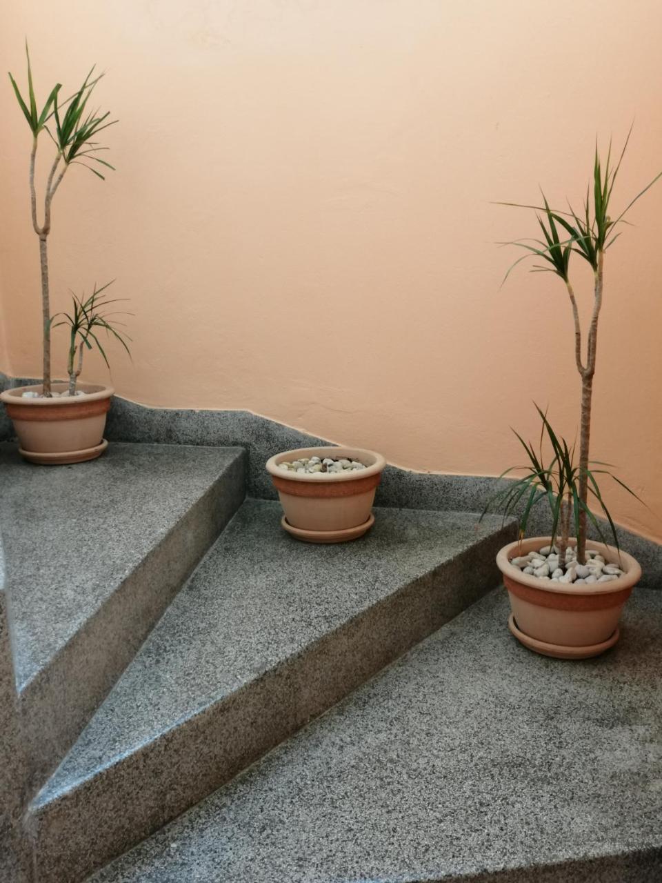 Apartment Singa Zára Kültér fotó